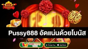 อัดแน่นด้วยโบนัส-pussy888