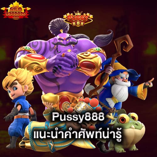 pussy888-แนะนำคำศัพท์น่ารู้-ก่อนเล่นสล็อต-pussy888