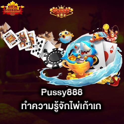 ทำความรู้จักไพ่เก้าเก-จากpussy888-pussy888