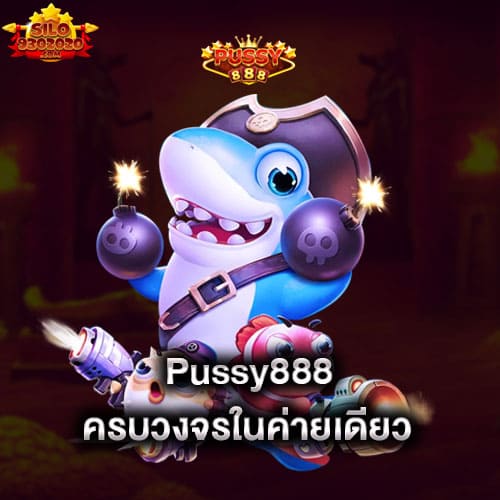 pussy888-ครบวงจรในค่ายเดียว-pussy888